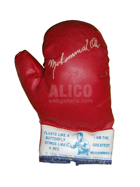 Youth Size Red Boxing Gloves