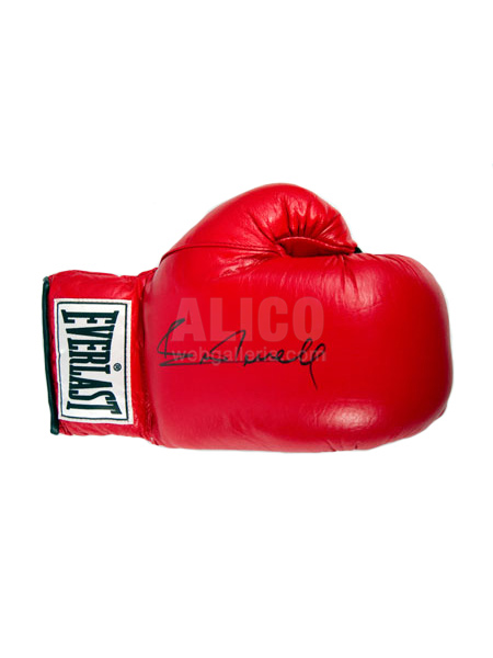  Ernie Terrell Autographed Boxing Glove