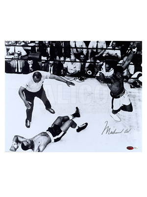 Muhammad Ali / Sonny Liston Aerial View 16" x 20" Photograph 