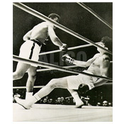 Cassius Clay / Alejandro Lavorante Wire Photo