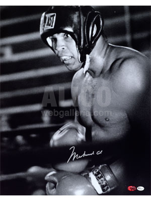 Muhammad Ali Autographed 16 x 20" Photo Sparring at his Deerlake, PA Training Camp