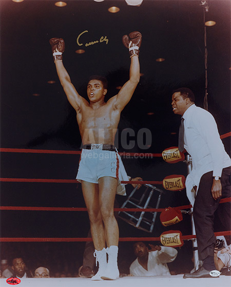 Cassius Clay / Sonny Liston 16 x 20