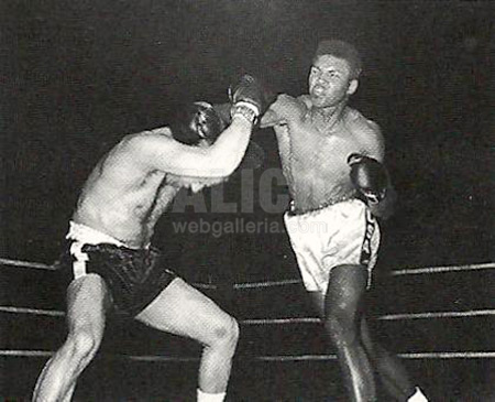 Cassius Clay / Lamar Clark Black/White Press Photo