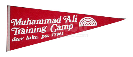 Deerlake Training Camp Pennant