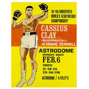 Muhammad Ali / Ernie Terrell Poster